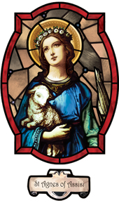 decorative window film saint design